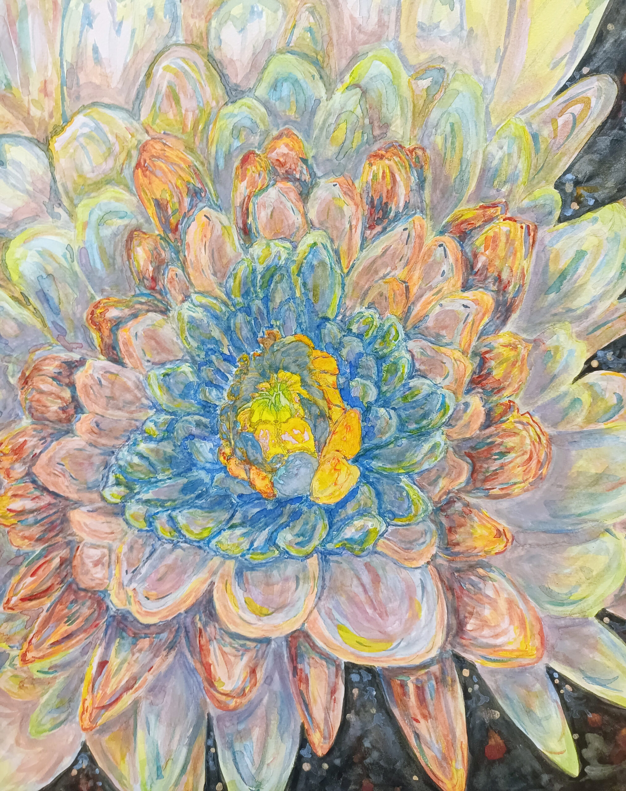 近藤 阿沙美｜Kondou Asami